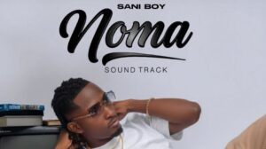 Music Audio : Sani Boy – Noma (Sound Track) | Download