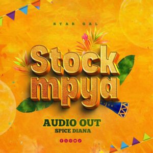 Music Audio : Spice Diana – Stock Mpya | Download