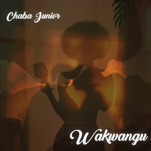 Music Audio : Chaba Junior – Wakwangu | Download
