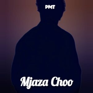 Music Audio : Pmt – Mjaza Choo | Download