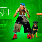 Yamenishinda | Download