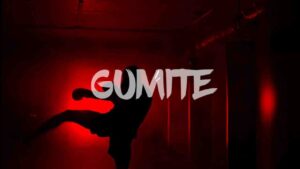 Music Audio : Nandor Love – Gumite | Download Mp3