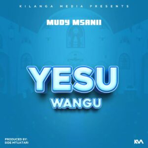 Music Audio : Mudy Msanii – UKIINAMA | Download