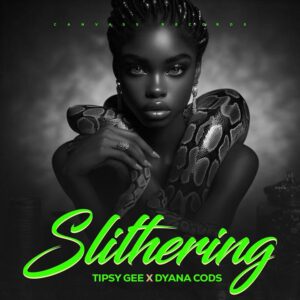 Music Audio : Tipsy Gee Ft Dyana Cods – Slithering | Download