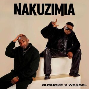 Music Audio : Bushoke Ft Weasel – Nakuzimia | Download Mp3