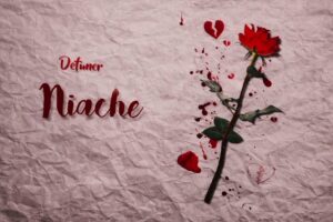 Music Audio : Definer Tz – Niache | Download Mp3