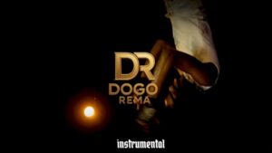 Music Audio : Dogo Rema – Hapo Vipi | Download Mp3