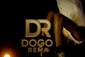 Music Audio : Dogo Rema – Hapo Vp | Download Mp3