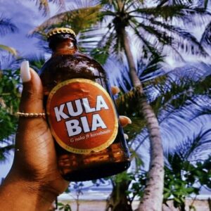 Music Audio : G Nako Ft Kona Beats – Kula Bia | Download Mp3