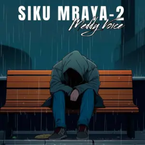 Music Audio : Meddy Voice – Siku Mbaya 2 | Download Mp3