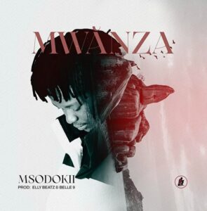 Music Audio : Msodokii – Mwanza | Download Mp3