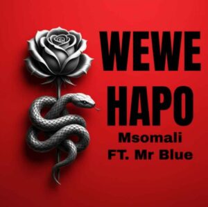 Music Audio : Msomali Ft Mr Blue – Wewe Hapo | Download Mp3