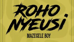 Music Audio : Mazegele Boy – Roho nyeusi | Download Mp3
