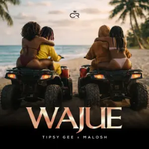 Music Audio : Tipsy Gee Ft Malosh – Wajue | Download Mp3