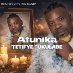 Tetifye Tukulabe (King Dandy Tribute) | Download Mp3