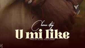 Music Audio : Chizmo Sting – U mi like | Download Mp3