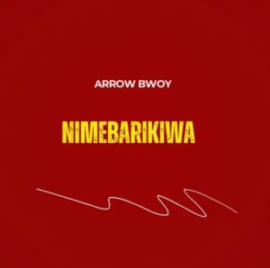 Music Audio : Arrow Bwoy – Nimebarikiwa | Download Mp3