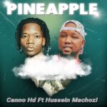 Pineapple | Download Mp3