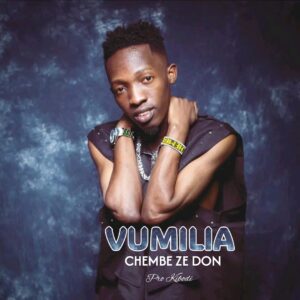 Music Audio : Chembe ze don – Vumilia | Download Mp3