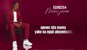 Music Audio : Echo 254 – Meri Jaan | Download Mp3