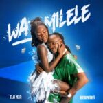 Wa Milele | Download Mp3