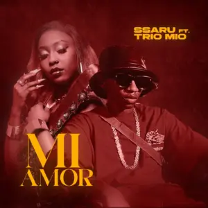 Music Audio : Ssaru Ft Trio Mio – Mi-Amor | Download Mp3