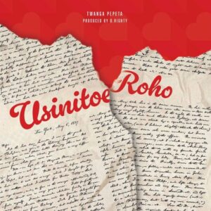 Music Audio : Twanga Pepeta – Usinitoe Roho | Download Mp3