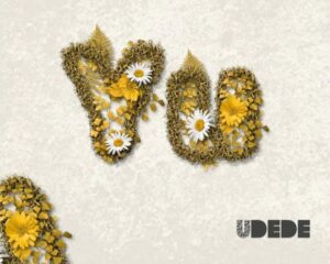 Music Audio : Udede X Sanja Kong – Yu | Download Mp3