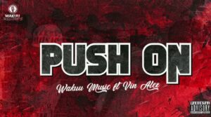 Music Audio : Wakuu Music Ft Vin Alex – Push On | Download Mp3