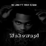Wako wapi | Download Mp3