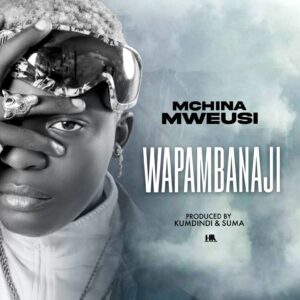 Music Audio : Mchina Mweusi – Wapambanaji | Download Mp3