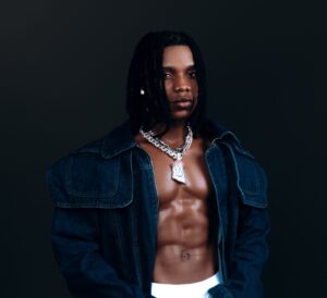 Music Audio : Mr White Ft. Kuss Love – Fall In love | Download Mp3