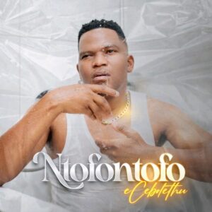 Music Audio : Ntofontofo – Zisebaleni | Download Mp3