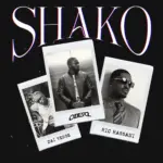 Shako | Download Mp3