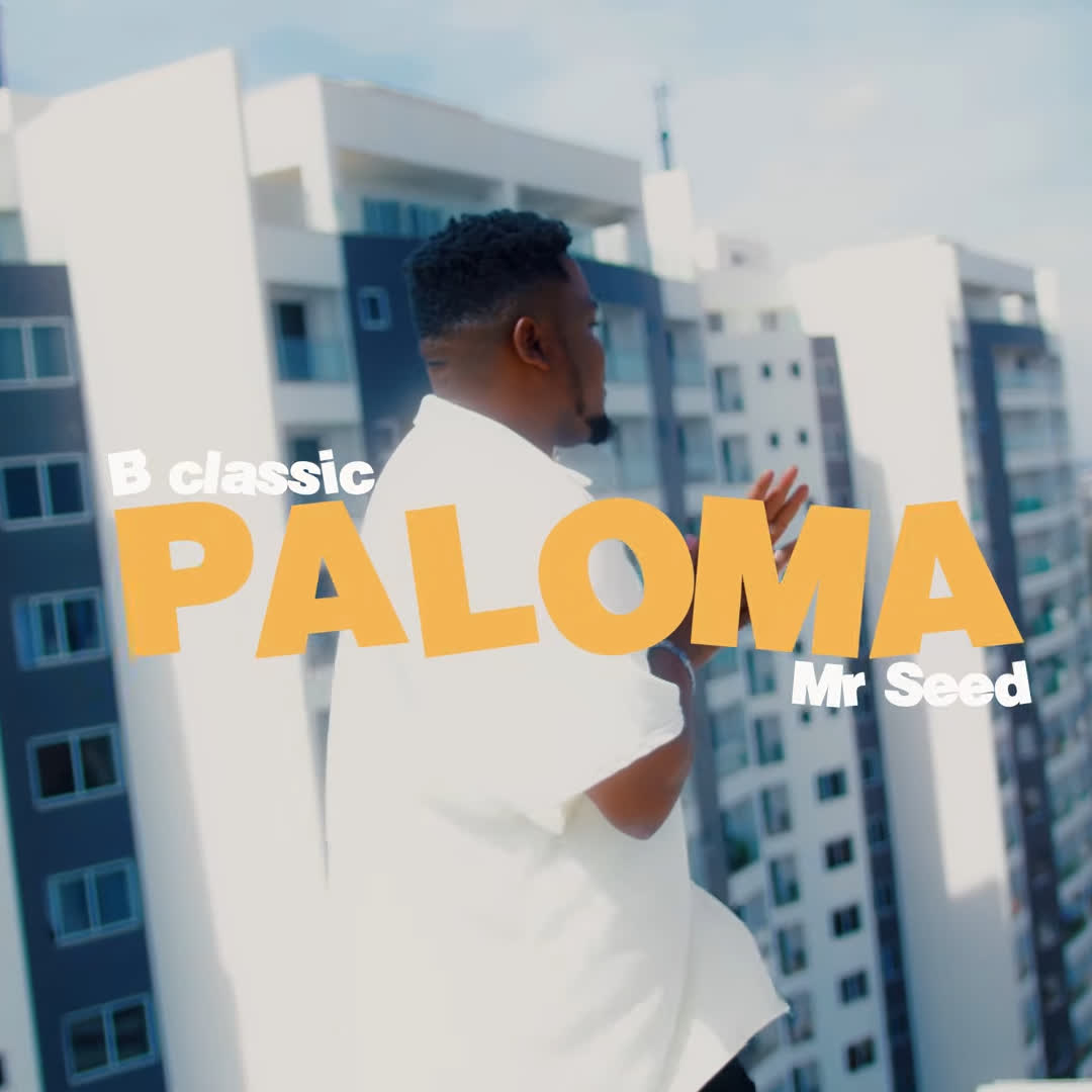B Classic X Mr Seed  – Paloma