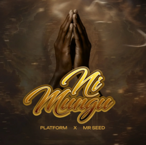Music Audio : Platform Ft Mr Seed – Ni Mungu | Download Mp3
