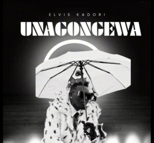 Music Audio : Elvis Kadori – Unagongewa | Download Mp3