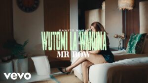 Music Audio : Mr. Bow – Wutomi La Wanuna | Download Mp3