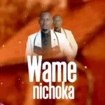 Wamenichoka | Download Mp3