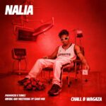 Music Audio : Chall B Wagaza – Nalia  | Download Mp3