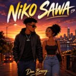 Music Audio : Don Breezy – Niko Sawa | Download Mp3