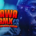 Music Audio : Elijah Kitaka, Edward Maya x DJ B&W – Dawa (Remix) | Download Mp3