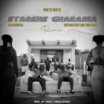Starehe Gharama Remix | Download Mp3