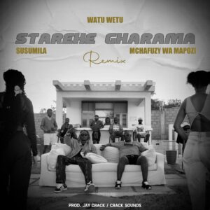 Music Audio : Watu Wetu Ft Susumila & Mchafuzy – Starehe Gharama Remix | Download Mp3