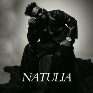 Music Audio : Aslay – Nitatulia | Download Mp3