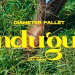 Music Audio : Diameter Pallet – Ndugu | Download Mp3
