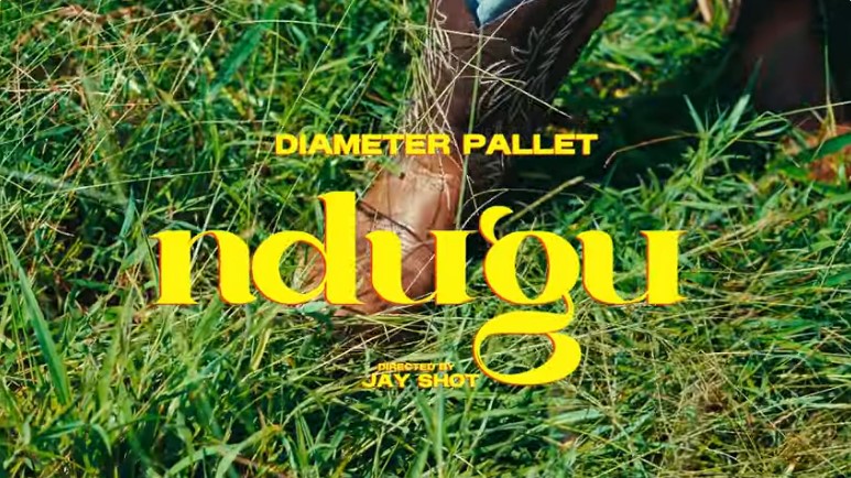 Ndugu | Download Mp3