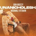 Music Audio : Don Breezy Ft Msomali – Unanicholesha | Download Mp3