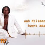 Music Audio : Fabi Africa – Mwanahamisi | Download Mp3