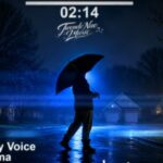 Music Audio : Meddy Voice – Alisema | Download Mp3